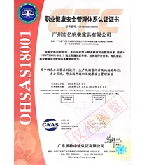 ISO28001职业健康安全管理体系认证证书